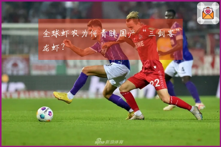 全球虾农为何青睐国产“三剑客”龙虾？