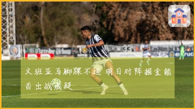 文班亚马脚踝不适 明日对阵掘金能否出战成疑